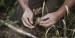 Avviso per la presentazione telematica delle domande di indennità per la conservazione del patrimonio tartufigeno regionale - Proroga